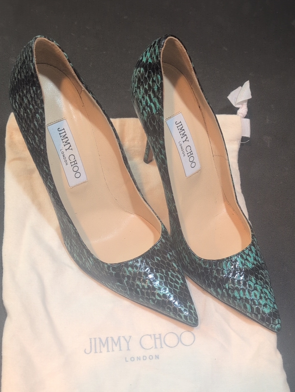 Jimmy Choo Teal Green Snakeskin Pointed-Toe Pumps
